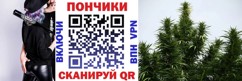 МЕФ Благодарный