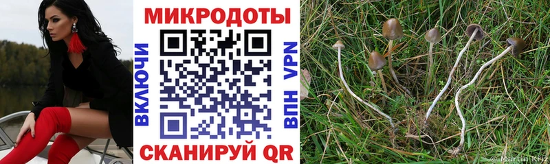 Галлюциногенные грибы Psilocybe Благодарный