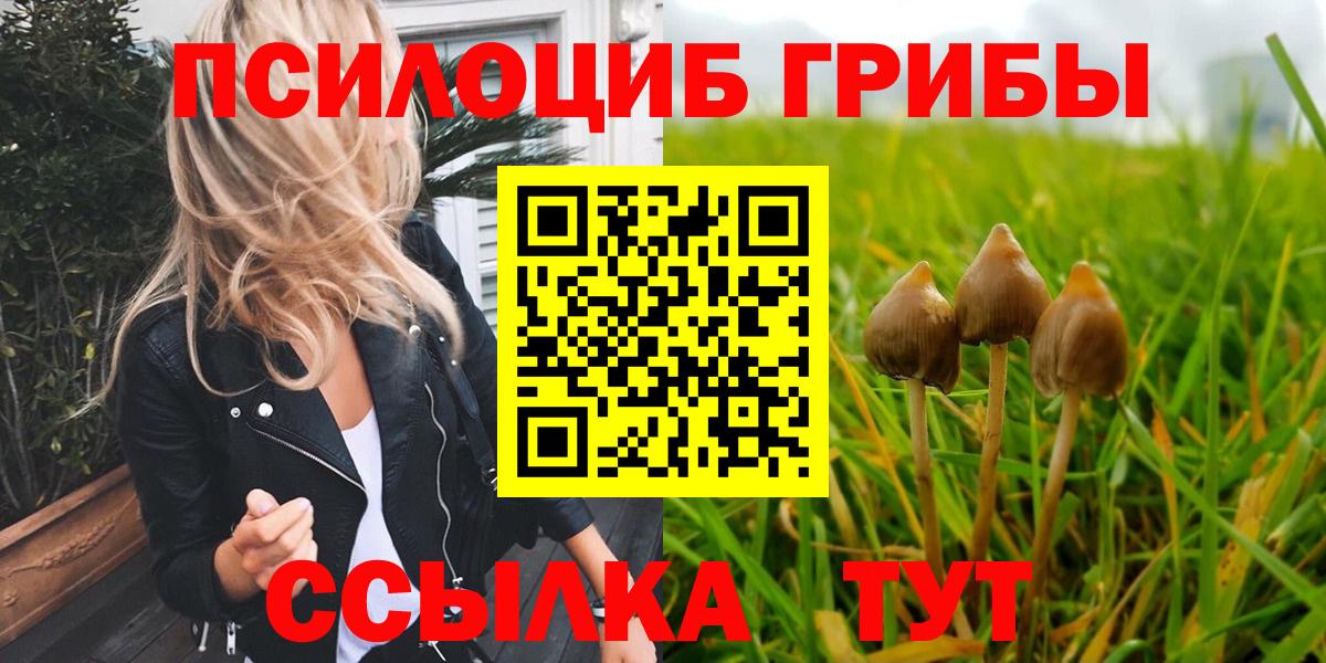 Благодарный  Галлюциногенные грибы Magic Shrooms  Псилоцибиновые грибы GOLDEN TEACHER  Вход с VPN 