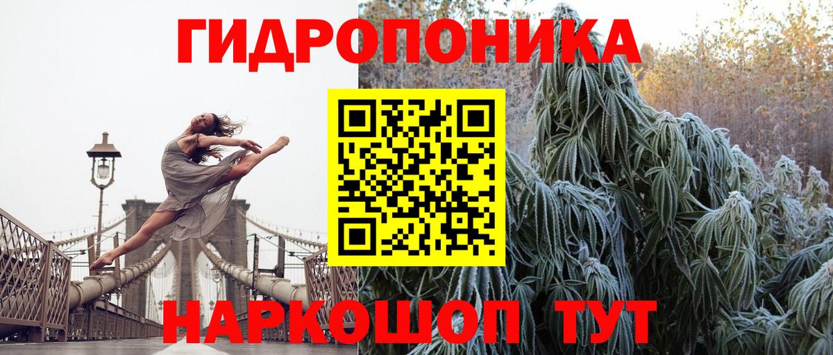 Канабис сатива Благодарный